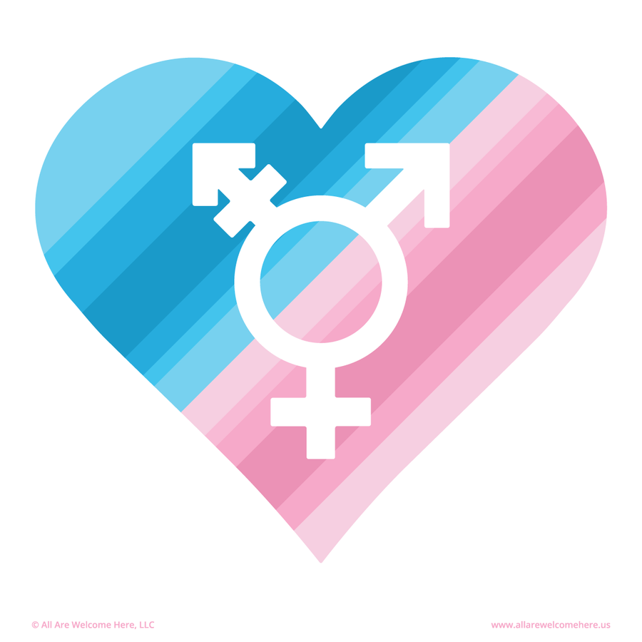 Transgender Flag Print